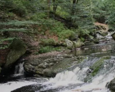 Gite Ardennes Au Coin Du Feu Jacuzzi Sauna Et Nature Jalhay Exterior photo